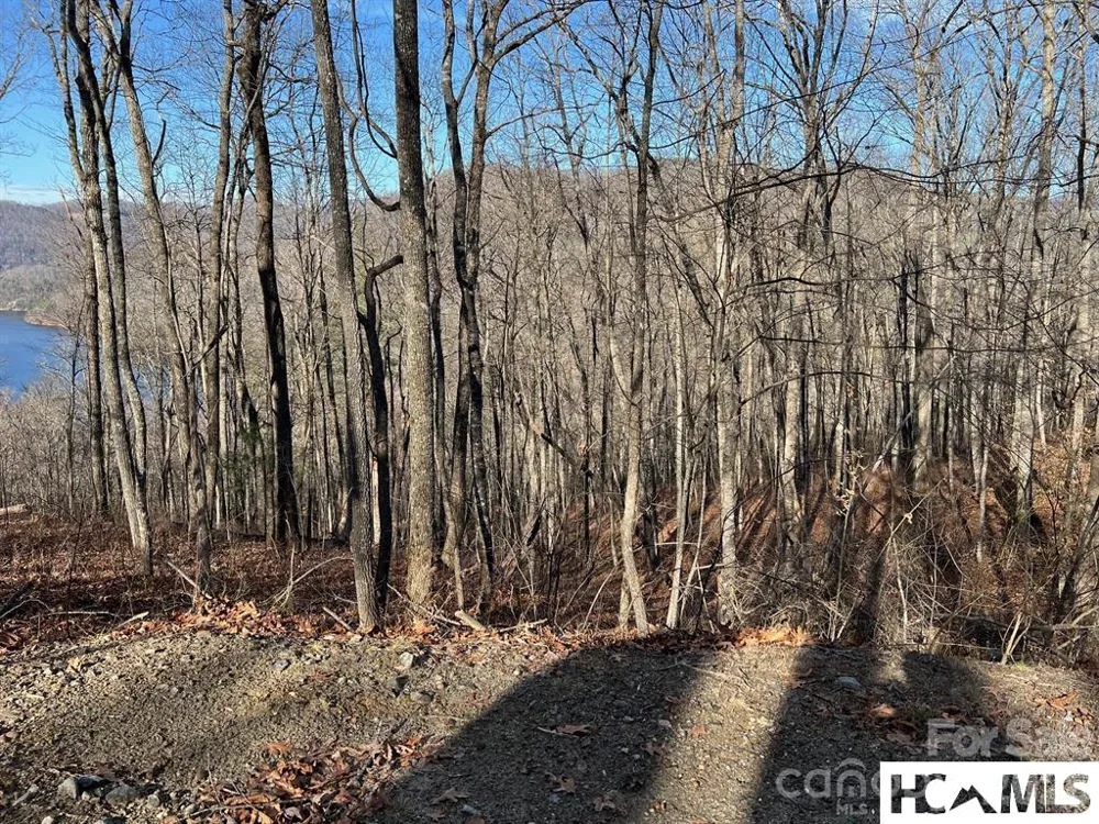 762 Scarlet Oak Road Tuckasegee, NC 28783