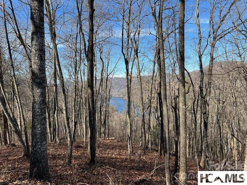 762 Scarlet Oak Road Tuckasegee, NC 28783