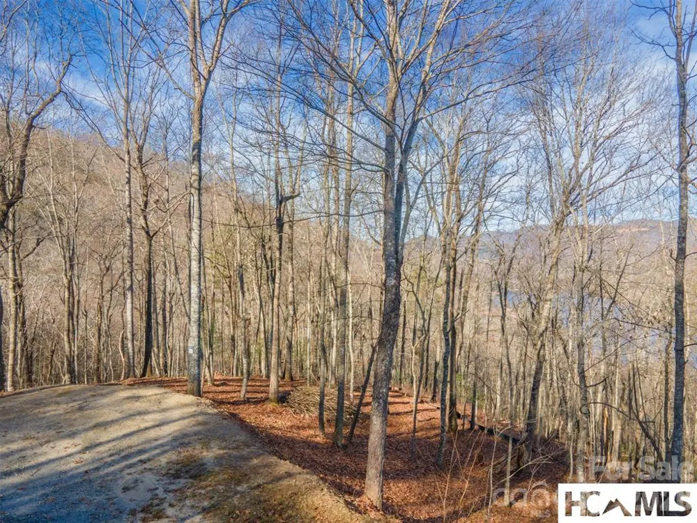 762 Scarlet Oak Road Tuckasegee, NC 28783
