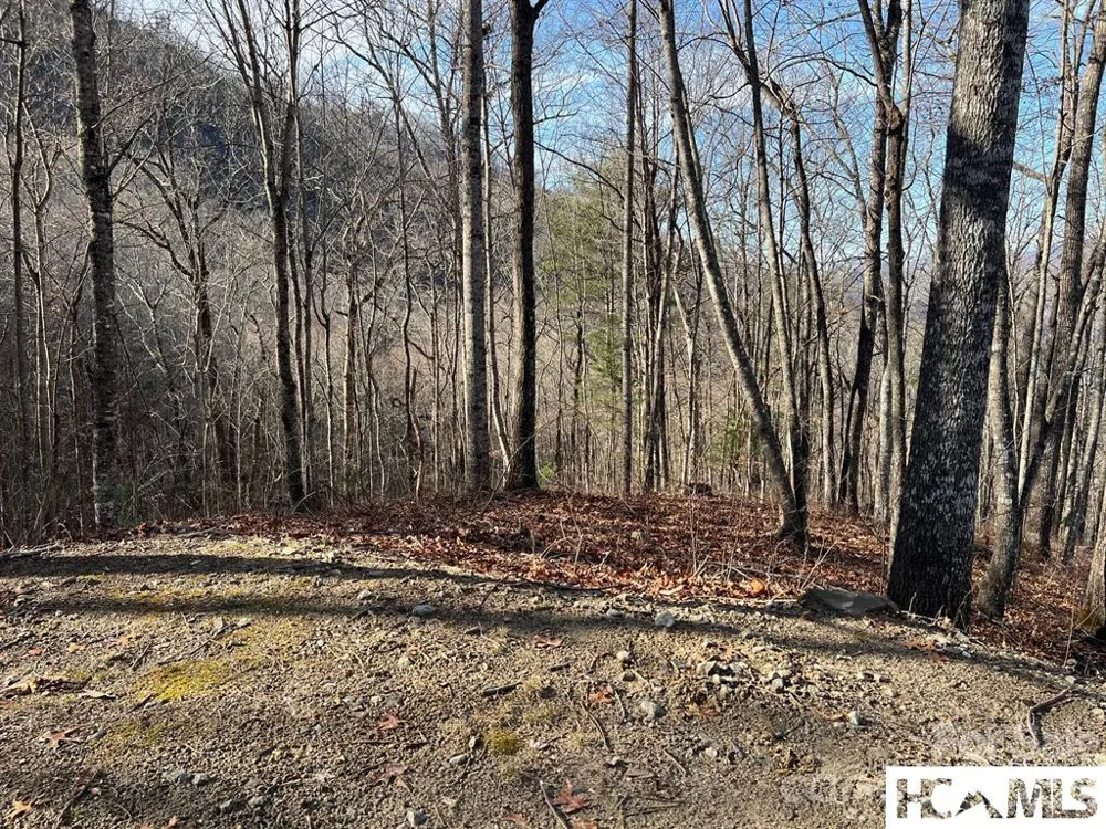 762 Scarlet Oak Road Tuckasegee, NC 28783