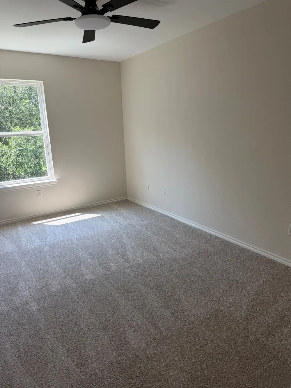 4707 Bernal Drive Dallas, TX 75212