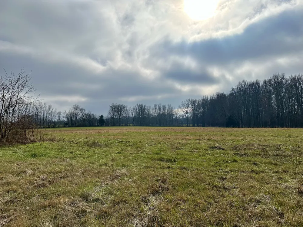 0 Highway 25W Cottontown, TN 37048