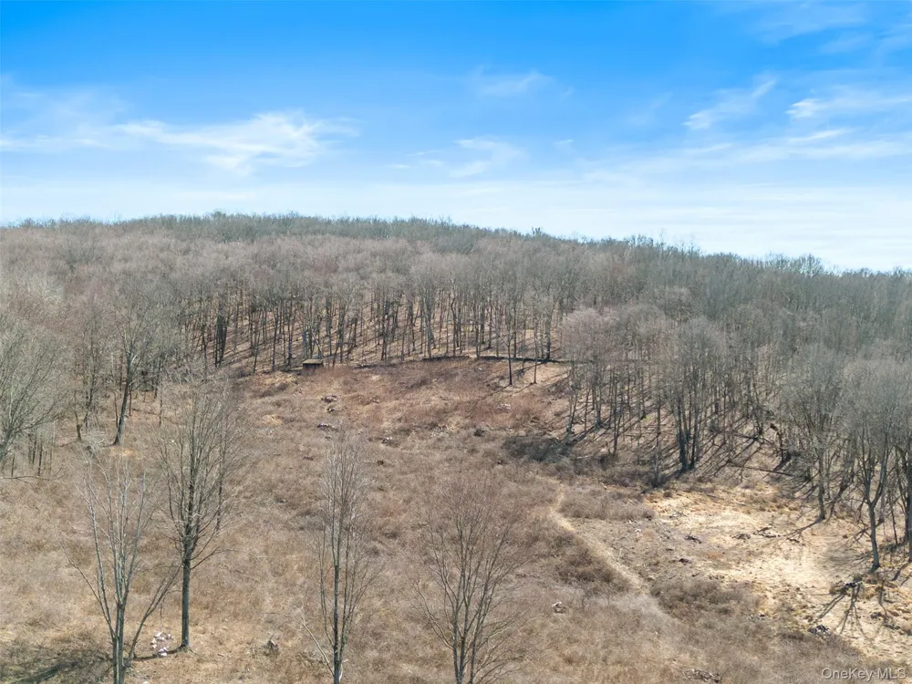 70 Barmore Road Lagrangeville, NY 12540