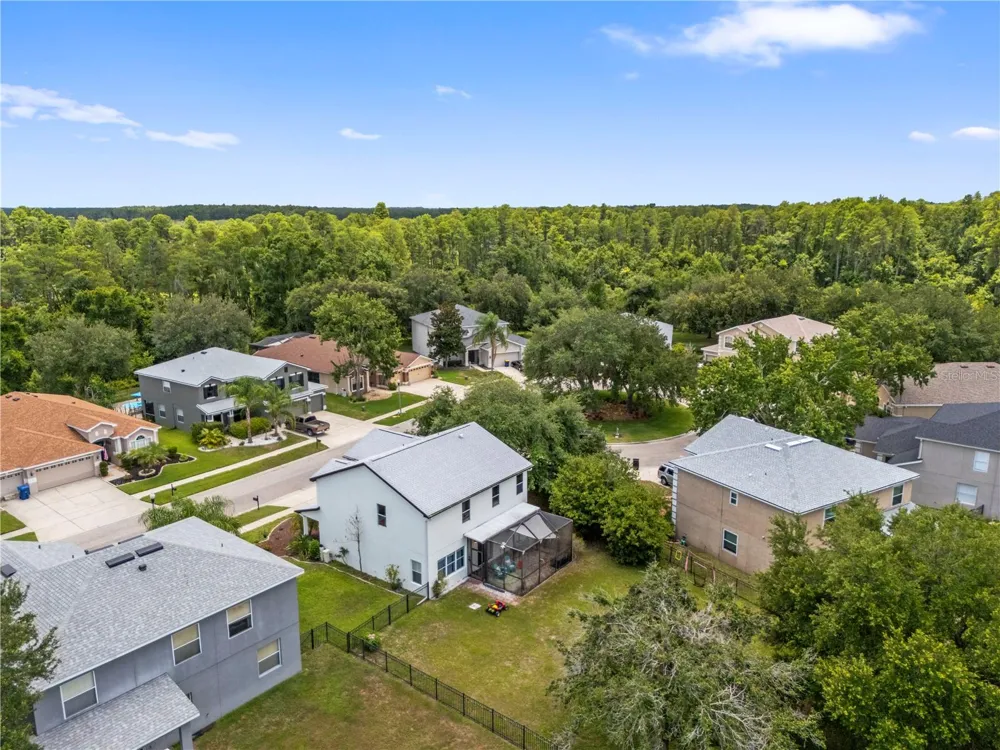6053 EVERLASTING PLACE Land O Lakes, FL 34639