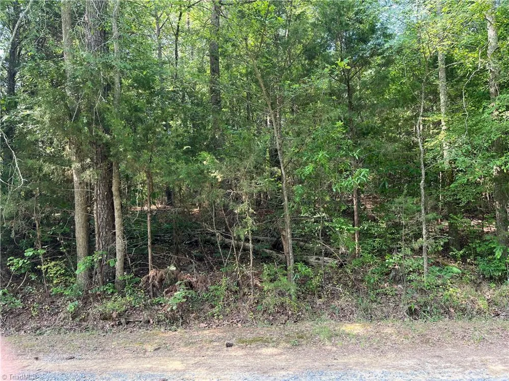 0 Silver Maple Road Sophia, NC 27350