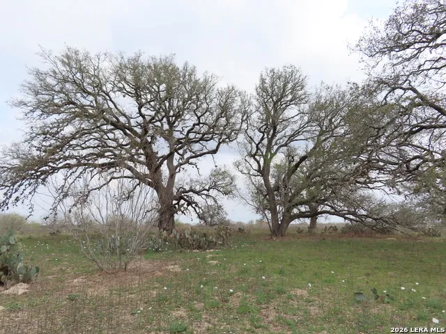 678 TANK HOLLOW RD Poteet, TX 78065