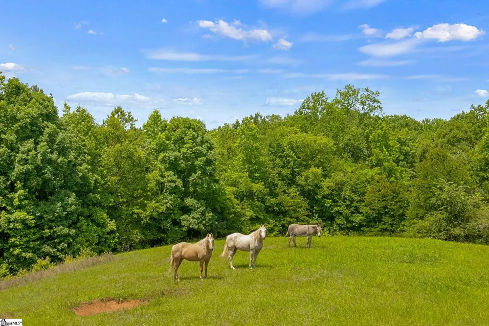 5230 Olden Porter Road Pendleton, SC 29670