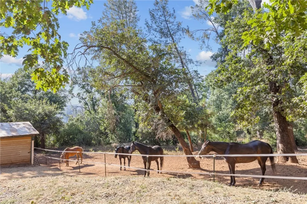 4592 Wendlis Road Forest Ranch, CA 95942