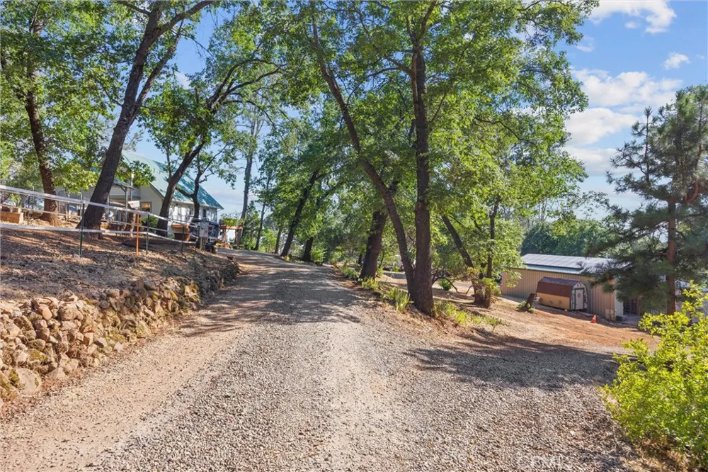 4592 Wendlis Road Forest Ranch, CA 95942
