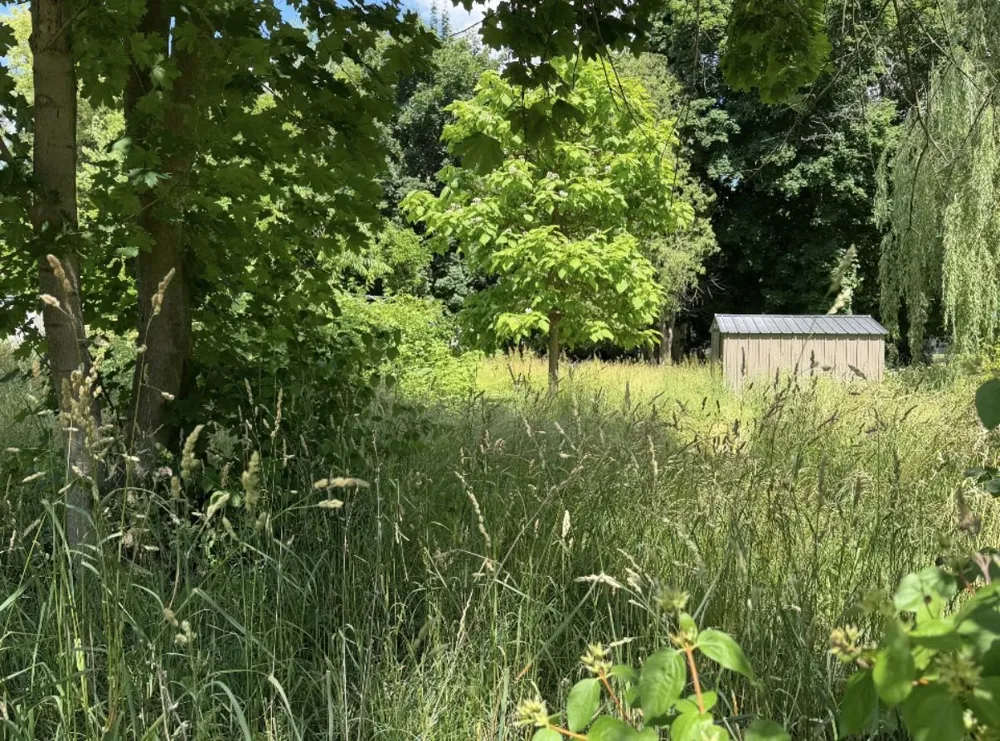 5424 orleans Road Orleans Township, MI 48865