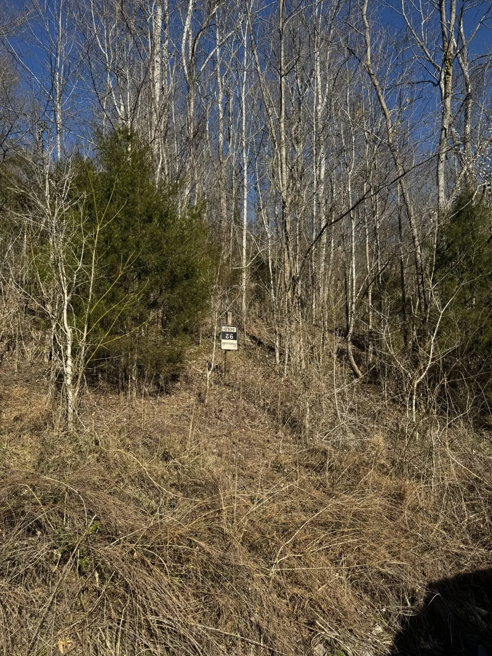 92 Shoreside Dr Smithville, TN 37166