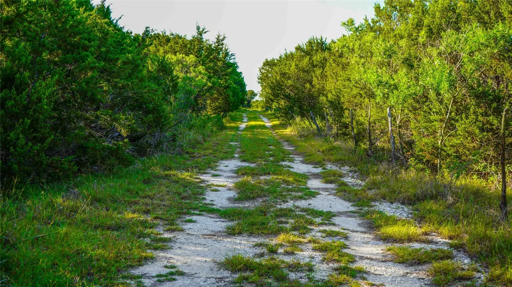 Private Road #2131 Iredell, TX 76649