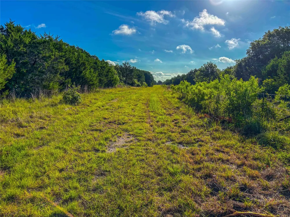 Private Road #2131 Iredell, TX 76649