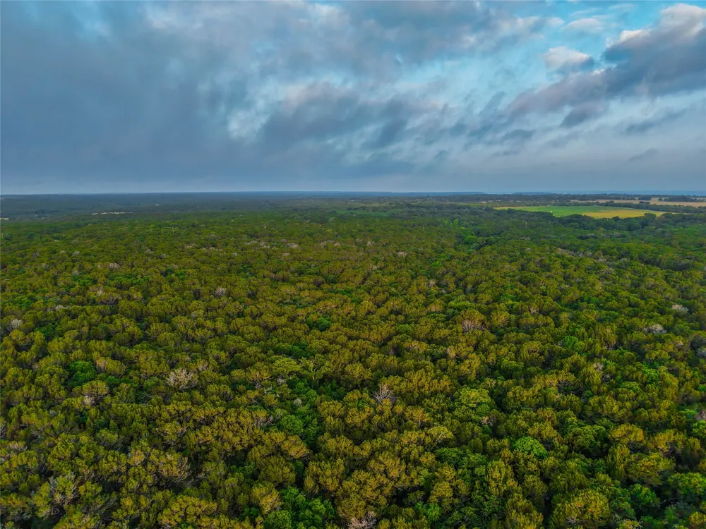 Private Road #2131 Iredell, TX 76649