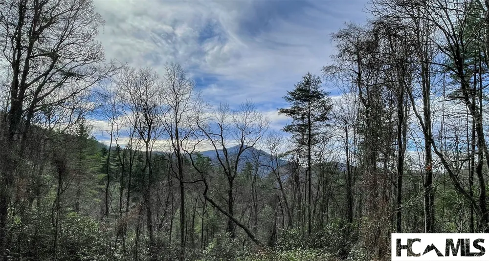 Address Not Shown Cashiers, NC 28717