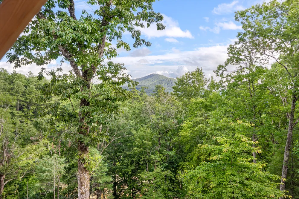 Address Not Shown Cashiers, NC 28717