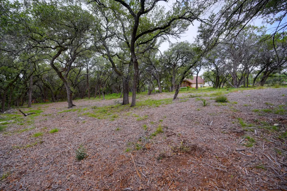 401 Mountain Crest Drive Wimberley, TX 78676