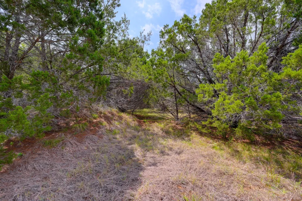 401 Mountain Crest Drive Wimberley, TX 78676
