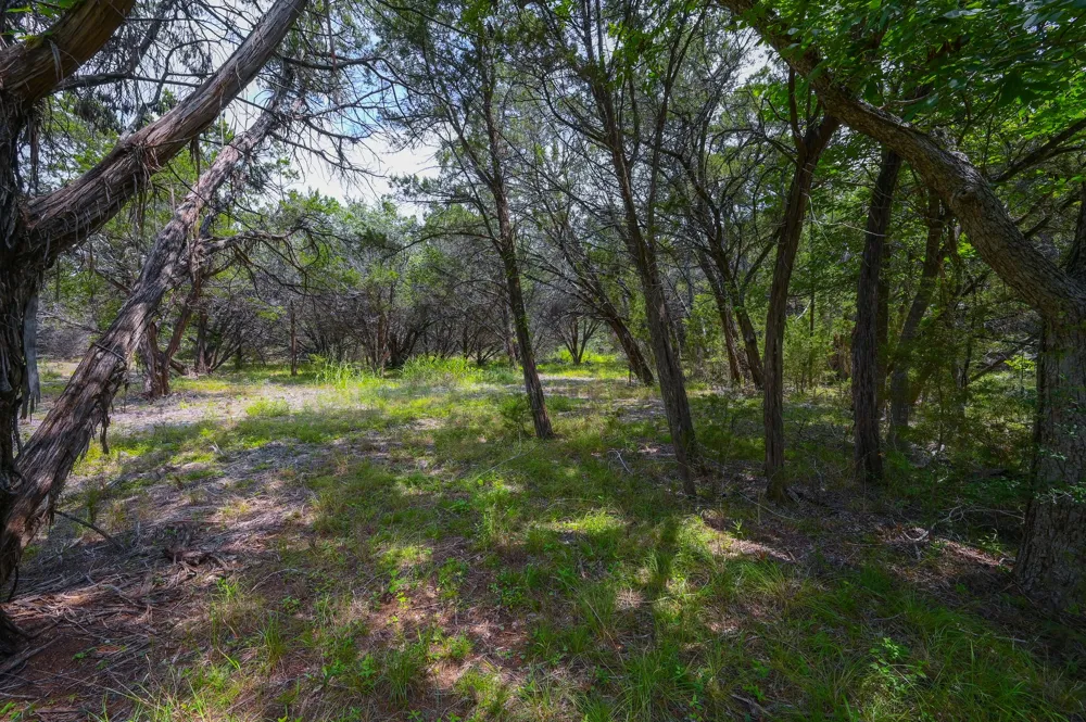 401 Mountain Crest Drive Wimberley, TX 78676