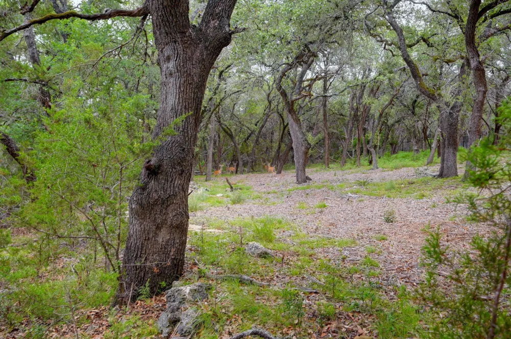 401 Mountain Crest Drive Wimberley, TX 78676