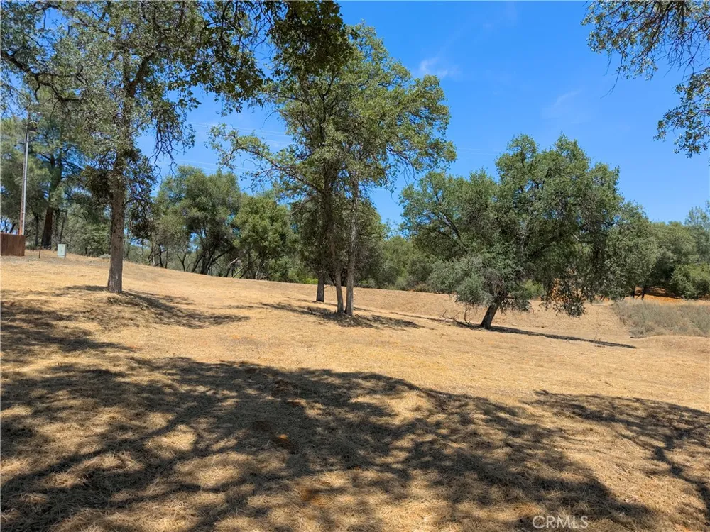 1 Spriggs Mariposa, CA 95338