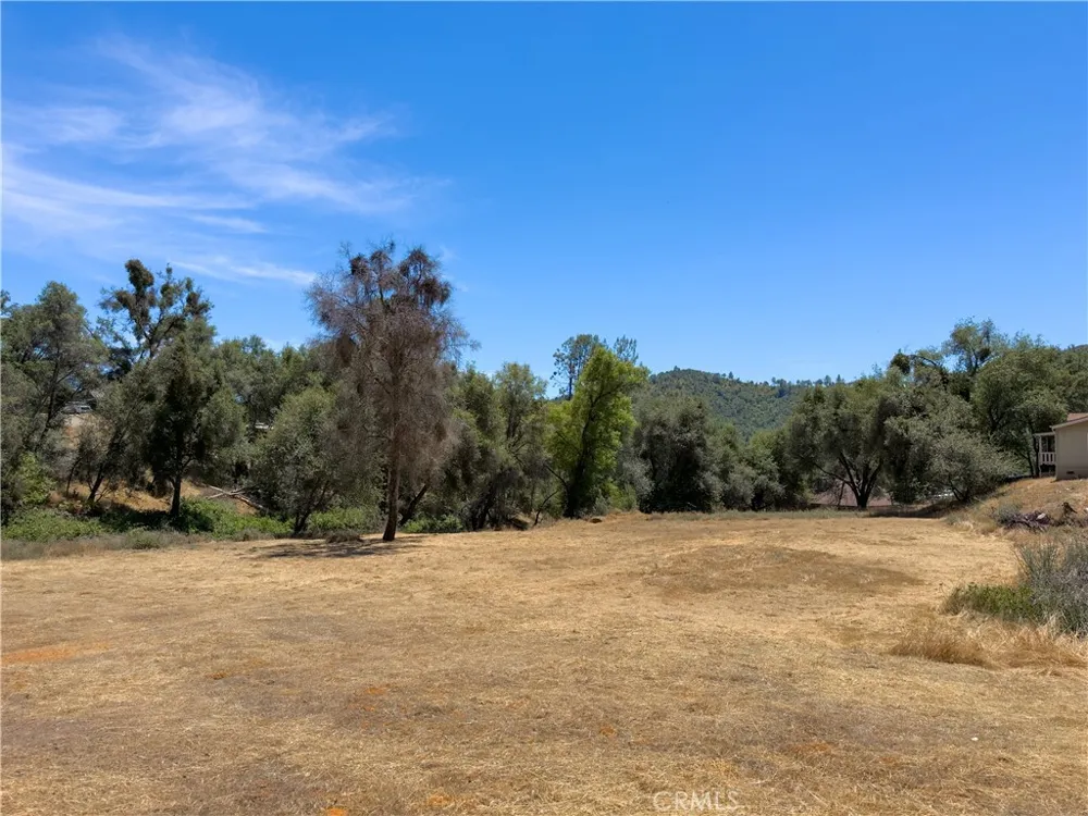 1 Spriggs Mariposa, CA 95338