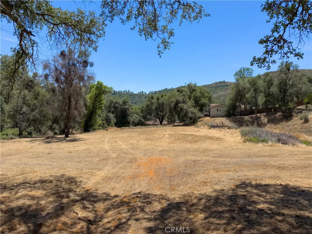 1 Spriggs Mariposa, CA 95338