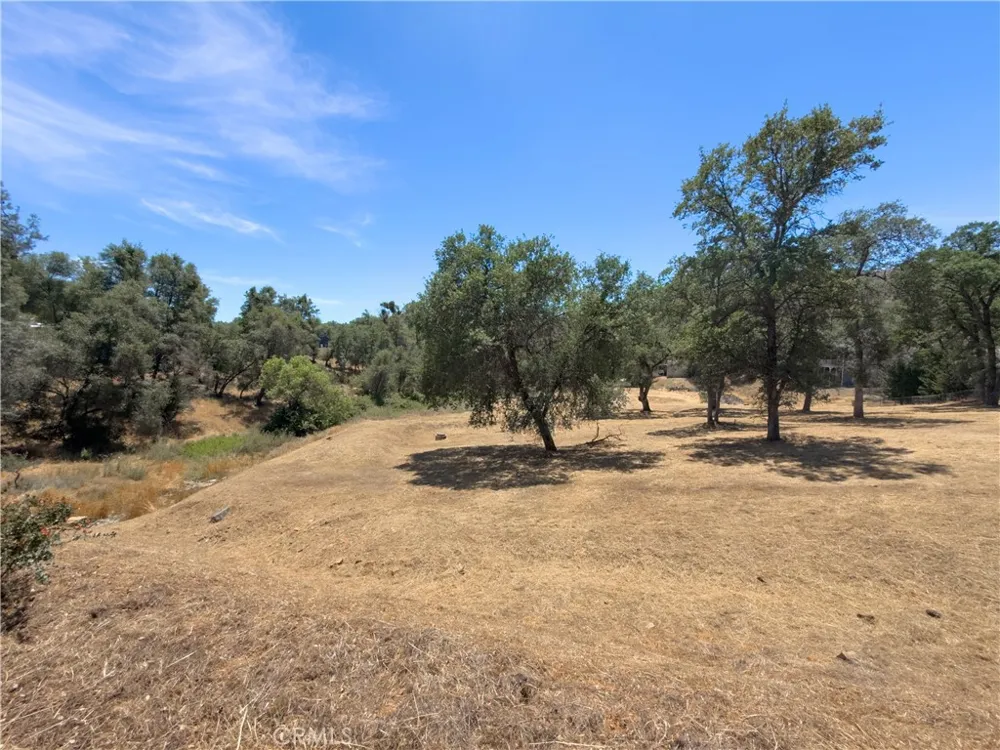 1 Spriggs Mariposa, CA 95338