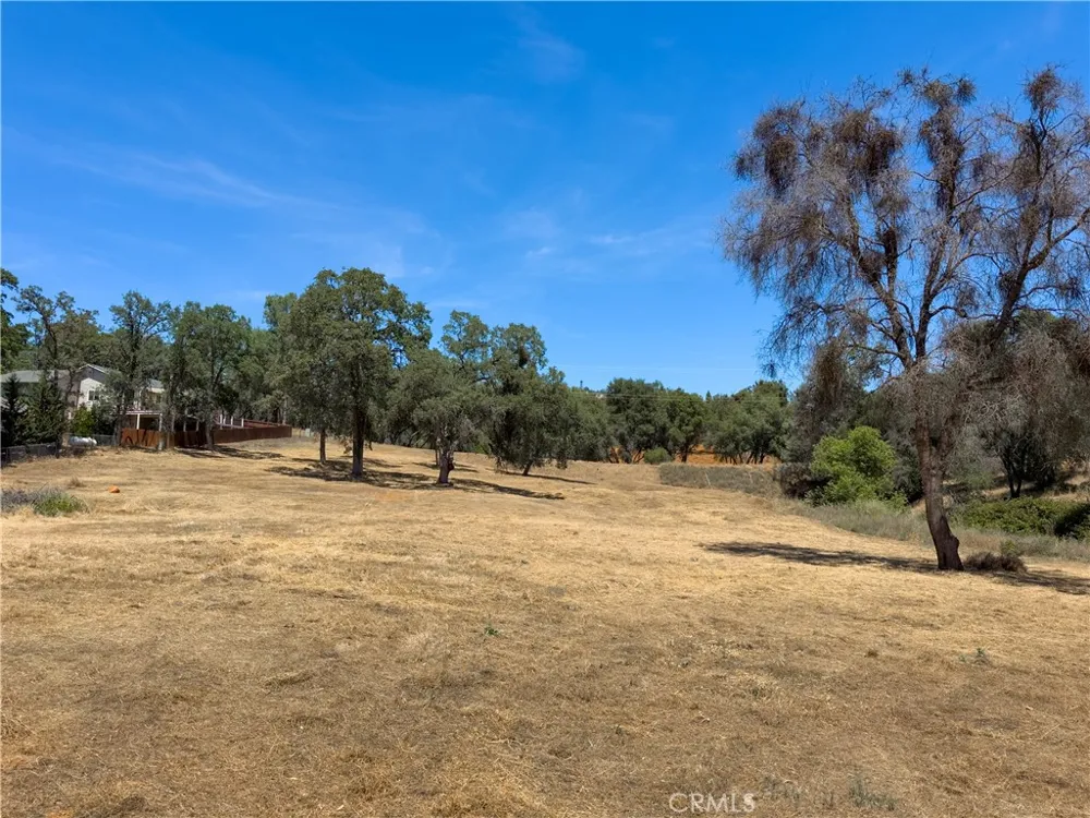 1 Spriggs Mariposa, CA 95338