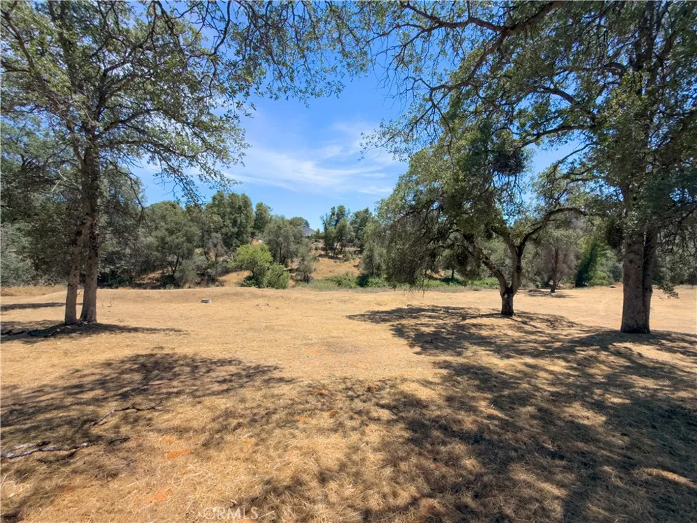 1 Spriggs Mariposa, CA 95338