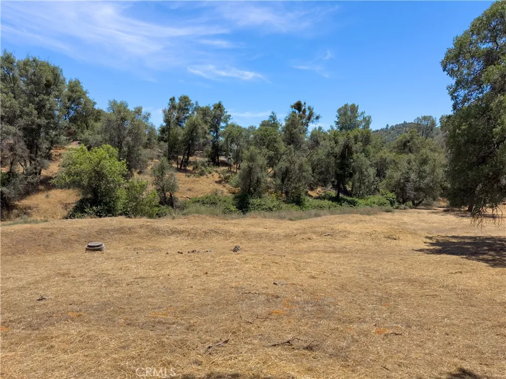 1 Spriggs Mariposa, CA 95338