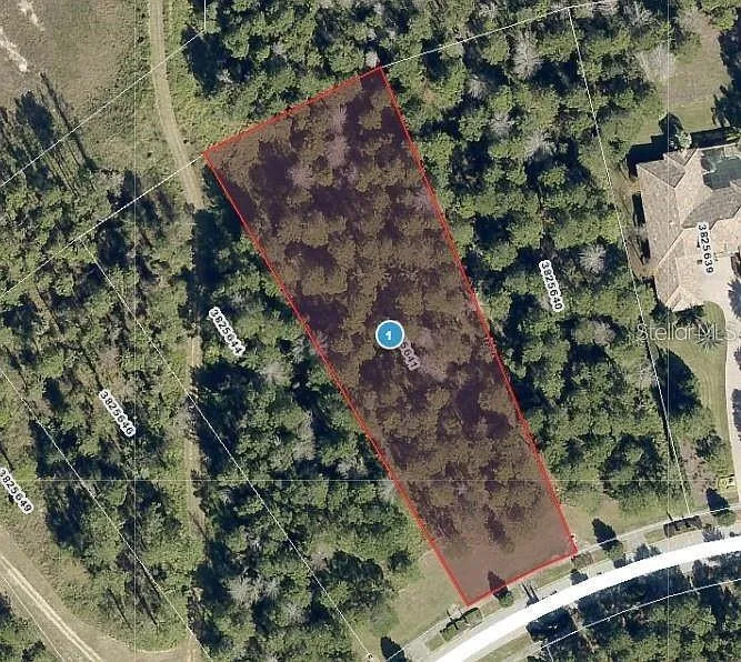 16036 PENDIO DRIVE Bella Collina, FL 34756