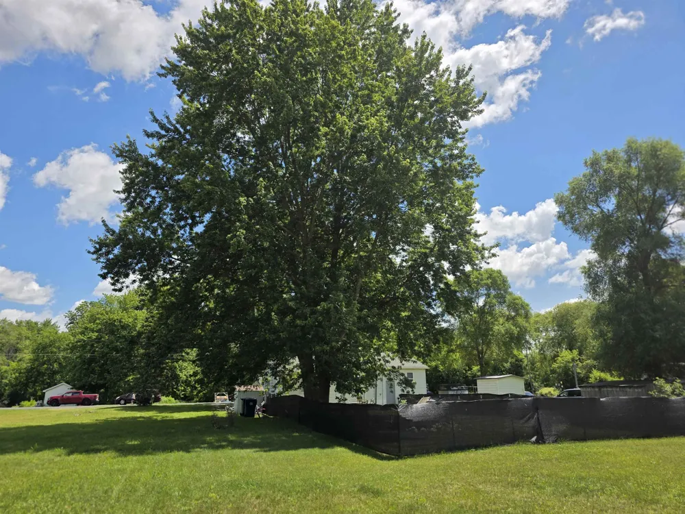 6053 NW Mill Seville Township, MI 48877