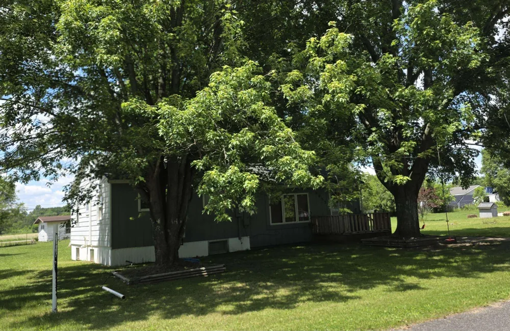 6053 NW Mill Seville Township, MI 48877