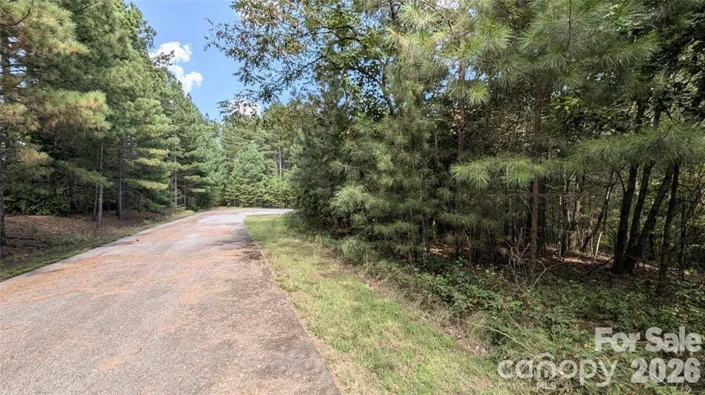14 Spring Hollow Road Lake Lure, NC 28746