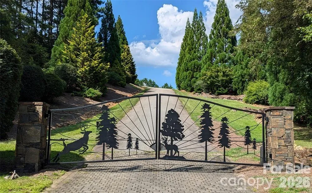14 Spring Hollow Road Lake Lure, NC 28746
