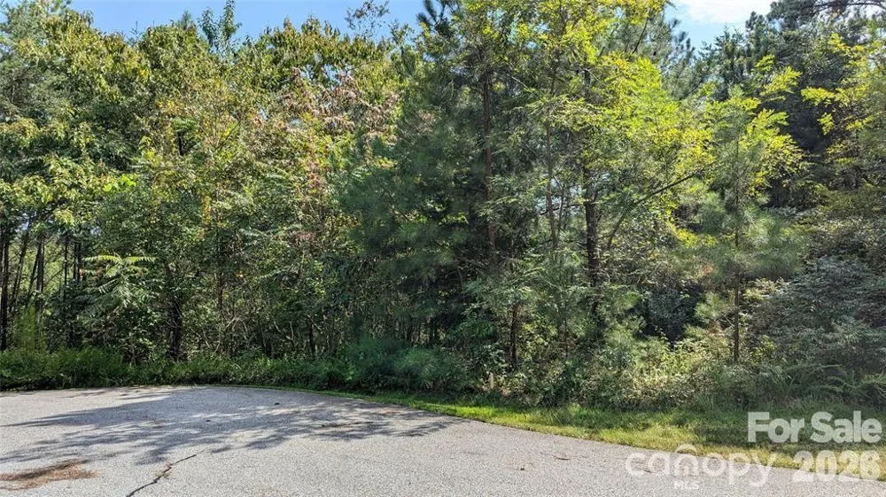 14 Spring Hollow Road Lake Lure, NC 28746