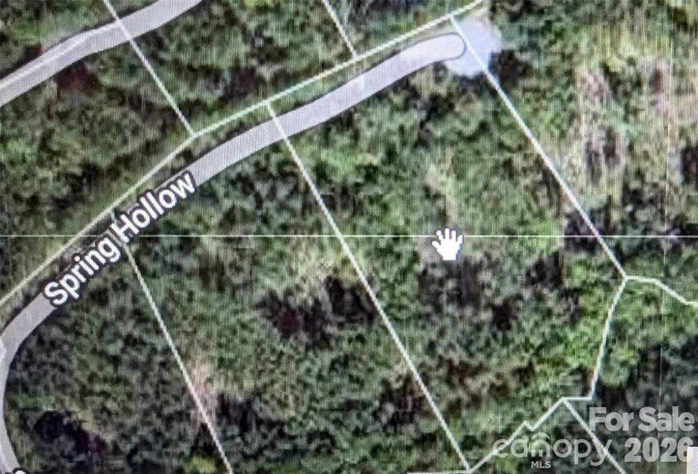 14 Spring Hollow Road Lake Lure, NC 28746