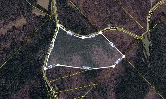 0 Felton Mcmichael Rd  - Landlot 090-091 Road Monticello, GA 31064