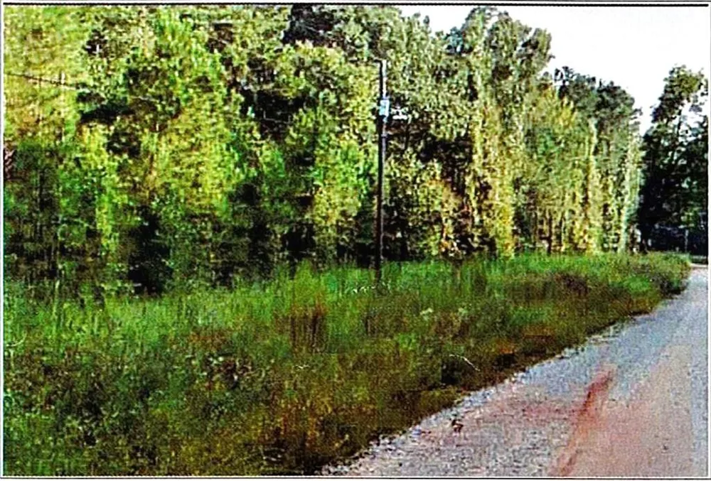 0 Felton Mcmichael Rd  - Landlot 090-091 Road Monticello, GA 31064