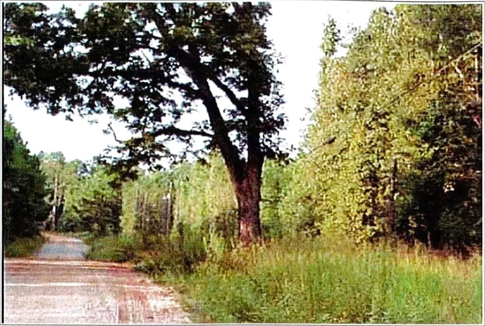 0 Felton Mcmichael Rd  - Landlot 090-091 Road Monticello, GA 31064
