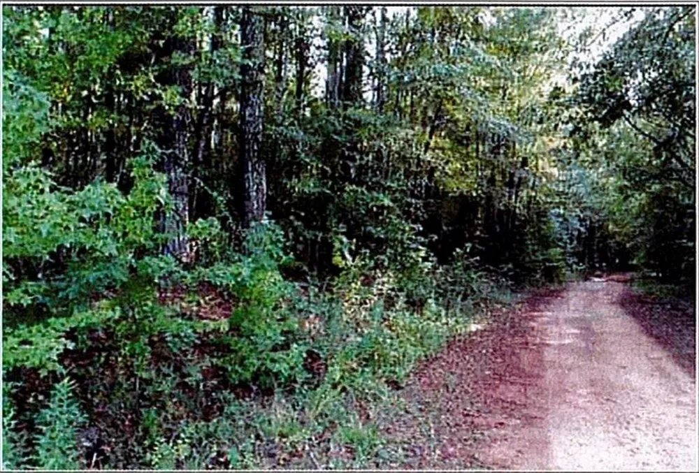 0 Felton Mcmichael Rd  - Landlot 090-091 Road Monticello, GA 31064