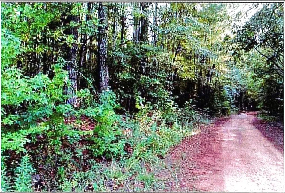 0 Felton Mcmichael Rd  - Landlot 090-091 Road Monticello, GA 31064