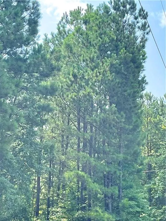 0 Felton Mcmichael Rd  - Landlot 090-091 Road Monticello, GA 31064