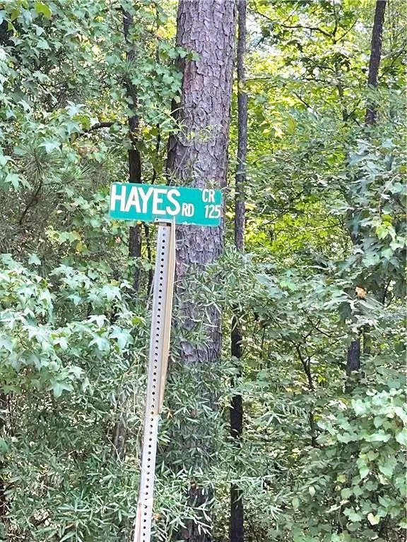 0 Felton Mcmichael Rd  - Landlot 090-091 Road Monticello, GA 31064