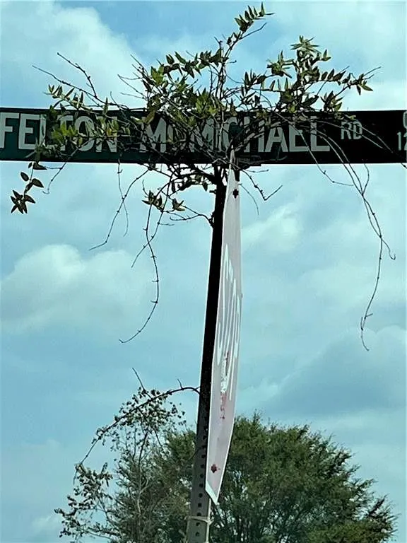 0 Felton Mcmichael Rd  - Landlot 090-091 Road Monticello, GA 31064