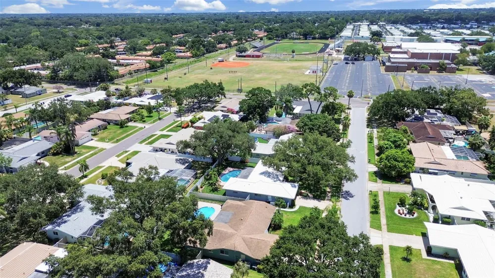 1110 MCLEAN STREET Dunedin, FL 34698