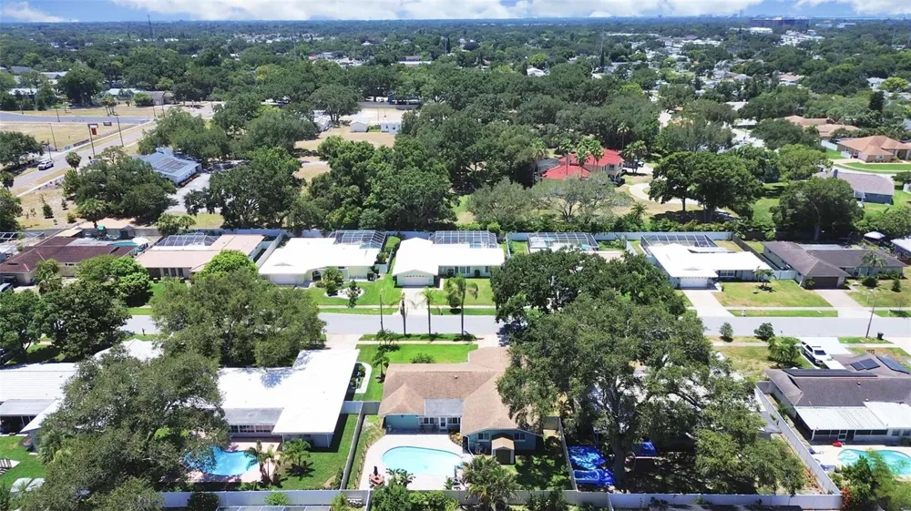 1110 MCLEAN STREET Dunedin, FL 34698
