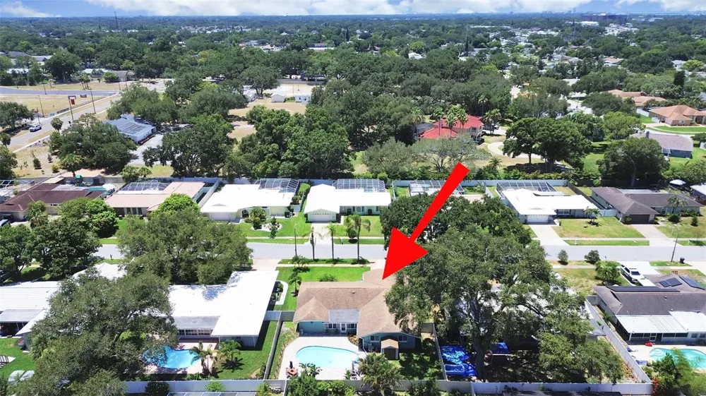 1110 MCLEAN STREET Dunedin, FL 34698