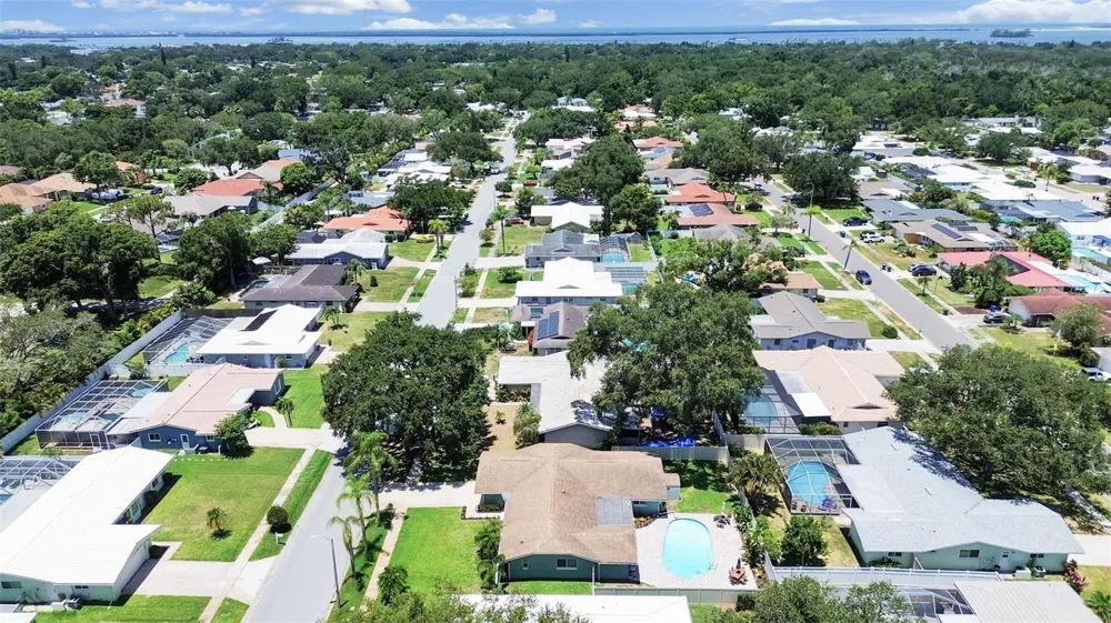 1110 MCLEAN STREET Dunedin, FL 34698